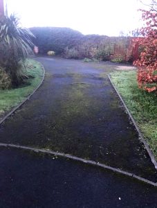Driveway 2 before